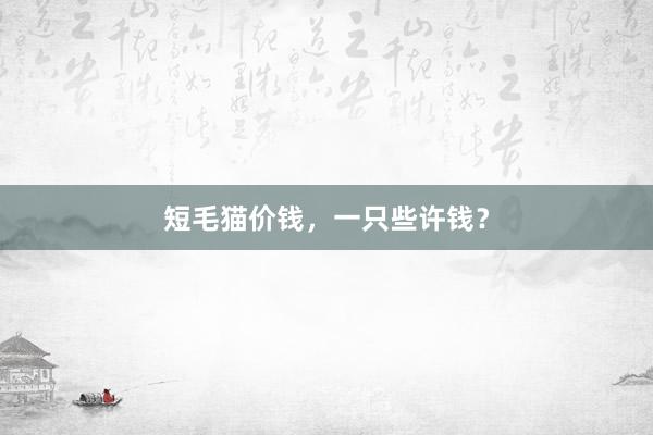 短毛猫价钱，一只些许钱？