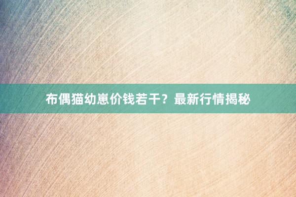 布偶猫幼崽价钱若干？最新行情揭秘